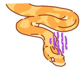 Adorable CornSnake sticker #13237005