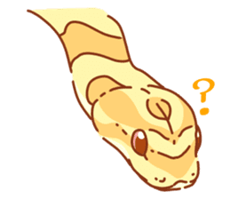 Adorable CornSnake sticker #13237006