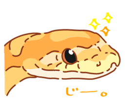Adorable CornSnake sticker #13237010