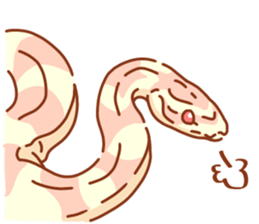 Adorable CornSnake sticker #13237011