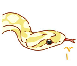 Adorable CornSnake sticker #13237013