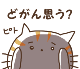 NEKONKO 2(Saga dialect) sticker #13238071