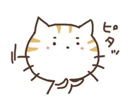 NEKONKO 2(Saga dialect) sticker #13238075