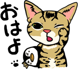 Good Friends cat cat sticker #13238230