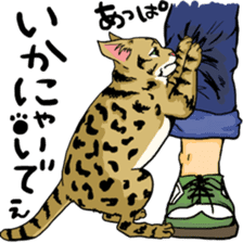 Good Friends cat cat sticker #13238235