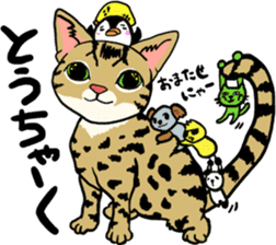Good Friends cat cat sticker #13238237