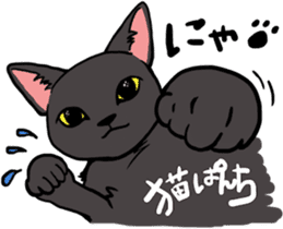 Good Friends cat cat sticker #13238248