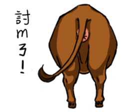 Ox sayings sticker #13238710