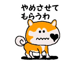 Shiba inu MOMO chan the third as well 35 sticker #13239372