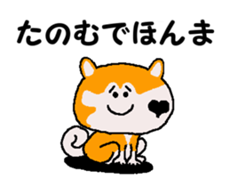 Shiba inu MOMO chan the third as well 35 sticker #13239377