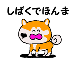 Shiba inu MOMO chan the third as well 35 sticker #13239378