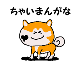 Shiba inu MOMO chan the third as well 35 sticker #13239379