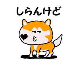 Shiba inu MOMO chan the third as well 35 sticker #13239380