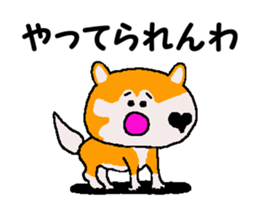 Shiba inu MOMO chan the third as well 35 sticker #13239386