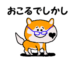 Shiba inu MOMO chan the third as well 35 sticker #13239387