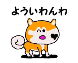 Shiba inu MOMO chan the third as well 35 sticker #13239389