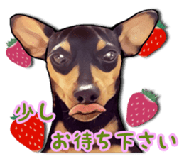 THE REAL MINIPIN FESTIVAL part.2 sticker #13239806