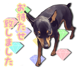 THE REAL MINIPIN FESTIVAL part.2 sticker #13239807