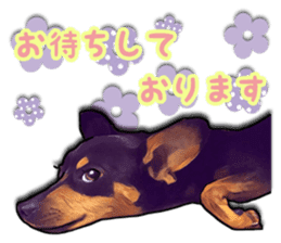 THE REAL MINIPIN FESTIVAL part.2 sticker #13239808