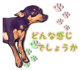 THE REAL MINIPIN FESTIVAL part.2 sticker #13239809