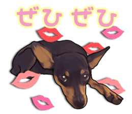 THE REAL MINIPIN FESTIVAL part.2 sticker #13239818