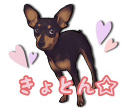 THE REAL MINIPIN FESTIVAL part.2 sticker #13239819