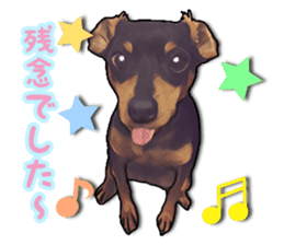 THE REAL MINIPIN FESTIVAL part.2 sticker #13239820