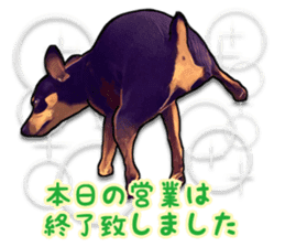 THE REAL MINIPIN FESTIVAL part.2 sticker #13239828