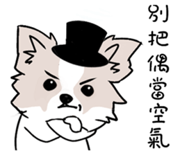 Fox dog sticker #13240095