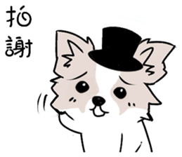 Fox dog sticker #13240097