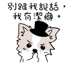 Fox dog sticker #13240100