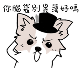 Fox dog sticker #13240105