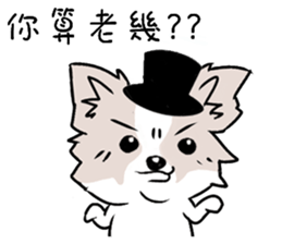 Fox dog sticker #13240119