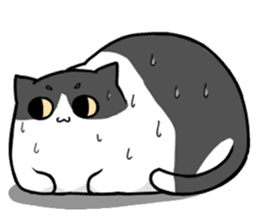 Tuxedo Kitten sticker #13241481