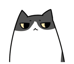 Tuxedo Kitten sticker #13241490