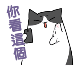 Tuxedo Kitten sticker #13241517