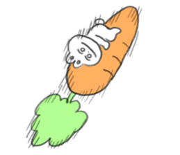 This is USAP sticker sticker #13241612