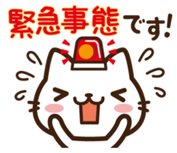 Beginning & closing cat sticker #13243560