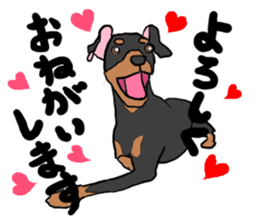 MINIATURE PINSCHER AYA sticker #13245758
