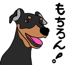 MINIATURE PINSCHER AYA sticker #13245761