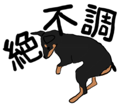 MINIATURE PINSCHER AYA sticker #13245762