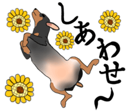 MINIATURE PINSCHER AYA sticker #13245767