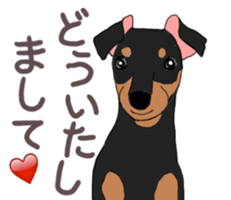 MINIATURE PINSCHER AYA sticker #13245769