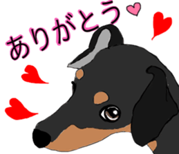 MINIATURE PINSCHER AYA sticker #13245770
