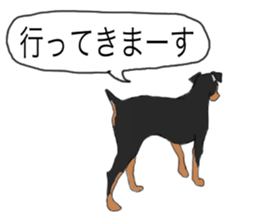 MINIATURE PINSCHER AYA sticker #13245771