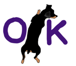 MINIATURE PINSCHER AYA sticker #13245772