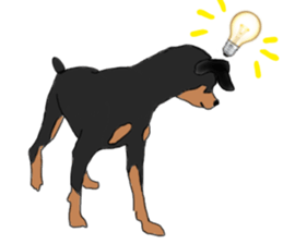 MINIATURE PINSCHER AYA sticker #13245773