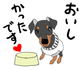 MINIATURE PINSCHER AYA sticker #13245775
