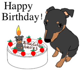 MINIATURE PINSCHER AYA sticker #13245776