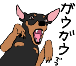 MINIATURE PINSCHER AYA sticker #13245777